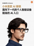 以Rokid乐奇、XREAL、雷鸟、李白为代表的国产实干